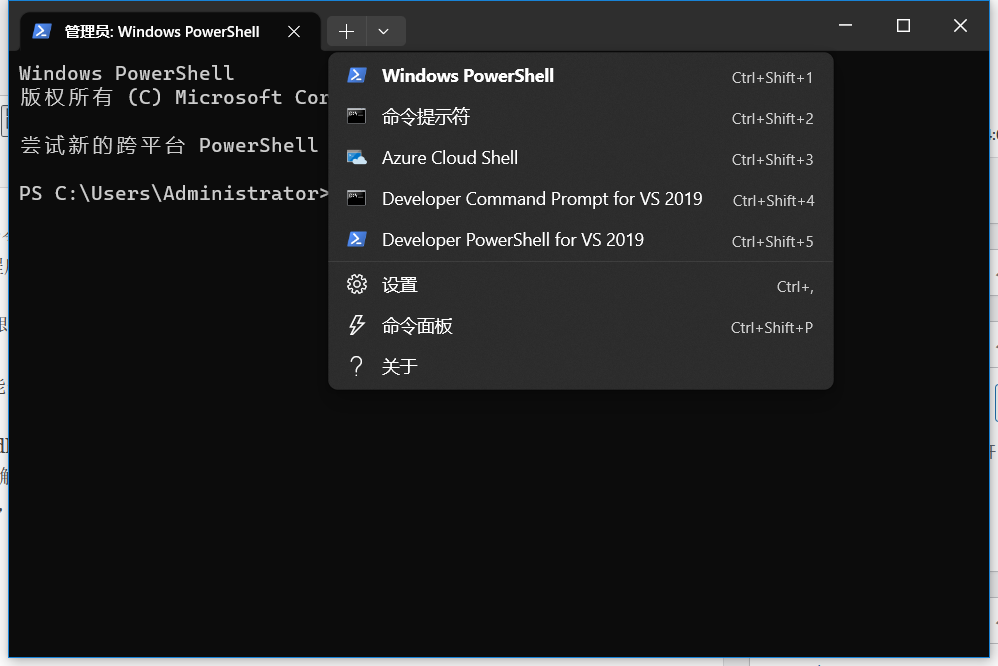 Windows Terminal